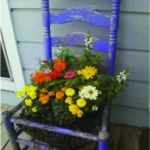 planting-flowers-in-chairs-colorful11.jpg
