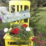 planting-flowers-in-chairs-colorful14.jpg
