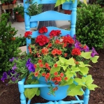planting-flowers-in-chairs-colorful4.jpg