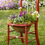 planting-flowers-in-chairs-colorful8.jpg