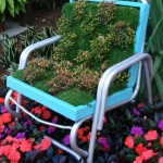 planting-flowers-in-chairs4-1.jpg