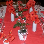 poppy-decorated-table-setting2-2.jpg