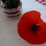 poppy-decorated-table-setting3-6.jpg