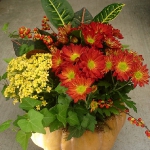 pumpkins-vase-new-floral-ideas3-3.jpg