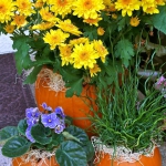 pumpkins-vase-new-floral-ideas6-3-1.jpg