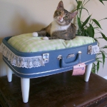 recycled-suitcase-ideas-pets-bed1.jpg