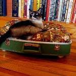 recycled-suitcase-ideas-pets-bed7.jpg