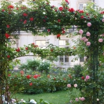 roses-in-garden-archway1.jpg