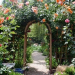 roses-in-garden-archway2.jpg
