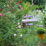 roses-in-garden-relax-nooks3.jpg
