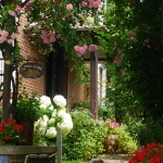 roses-in-garden-inspiration1-1.jpg