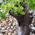 shoes-container-garden5-5.jpg