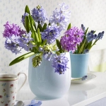 spring-flowers-new-ideas-hyacinths1.jpg