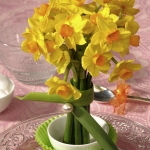 spring-flowers-new-ideas-narcissus5.jpg