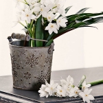 spring-flowers-new-ideas-narcissus6.jpg