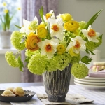 spring-flowers-new-ideas-narcissus7.jpg
