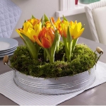 spring-flowers-new-ideas-tulip2-17.jpg