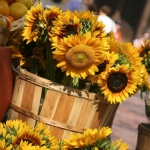 sunflowers-centerpiece-decorating-ideas-vase3-1