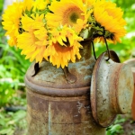 sunflowers-centerpiece-decorating-ideas-vase4-6