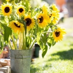 sunflowers-centerpiece-decorating-ideas-vase4-8