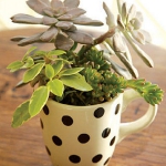 tea-cup-as-floral-vases18.jpg