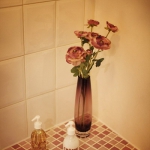 update-parisian-studio-in-indian-style-bathroom3.jpg