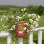 vintage-garden-pots4-6.jpg