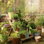 vintage-garden-pots6-1.jpg