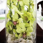 wonderful-orchids-ideas2-13.jpg
