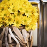 yellow-flowers-centerpiece-ideas-eco3.jpg