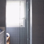zoning-divider-in-bathroom-tour6-1.jpg